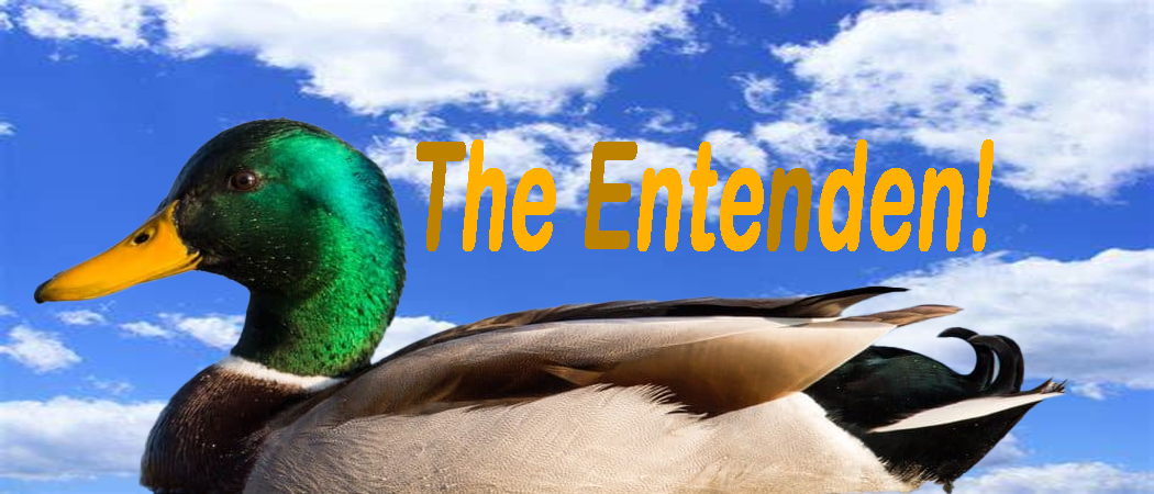 Enterkoo