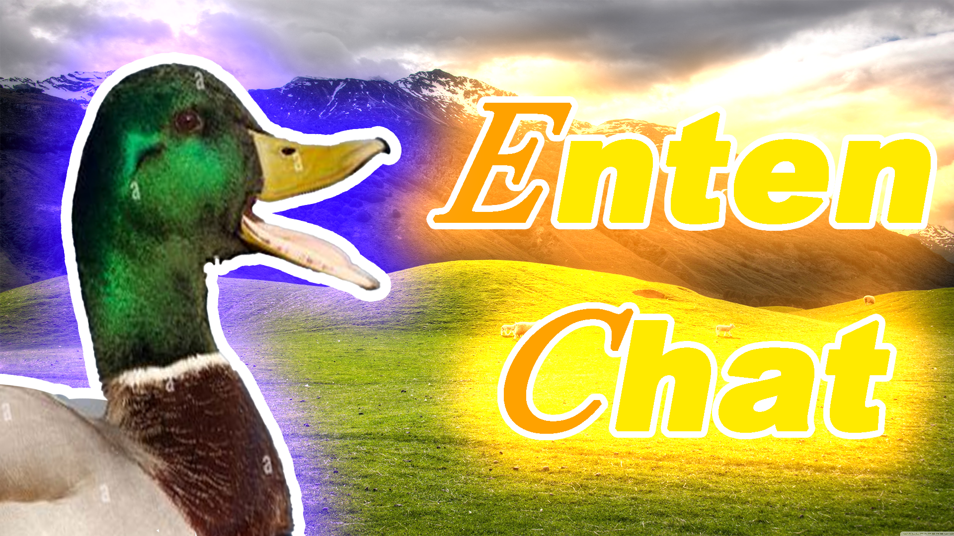 Enterkoo